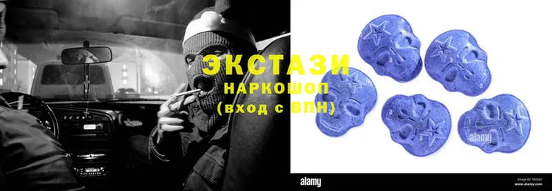 kraken ССЫЛКА  Беломорск  Ecstasy Philipp Plein 